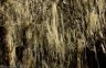 nepal-9850.jpg - 